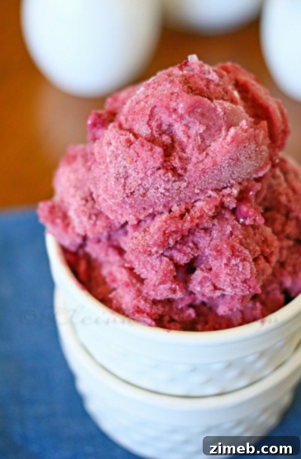 Blackberry Banana Bliss 2 Blackberry & Banana Ice Cream - a vibrant purple swirl in a bowl