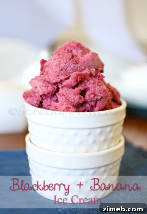 Blackberry Banana Bliss 4 Blackberry & Banana Ice Cream scooped into a bowl, garnished with fresh blackberries
