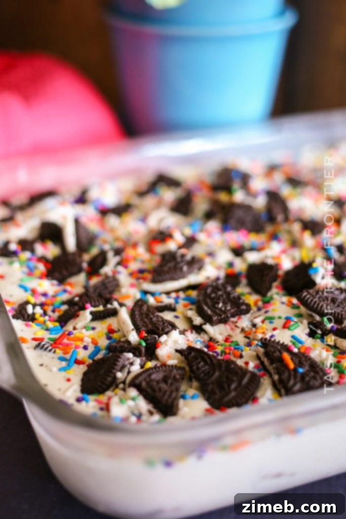Another view of the frozen treat with Oreos and sprinkles