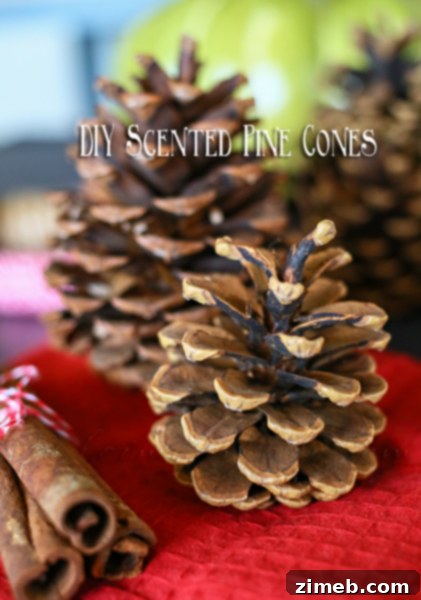 DIY Scented Pine Cones