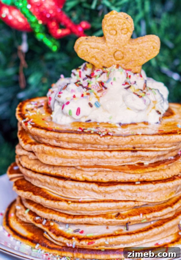 Cozy Gingerbread Flapjacks 4 A stack of Holiday Gingerbread Pancakes garnished with powdered sugar