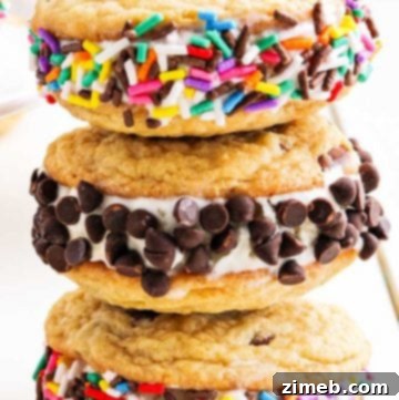 Homemade ice cream sandwiches with chocolate chip cookies