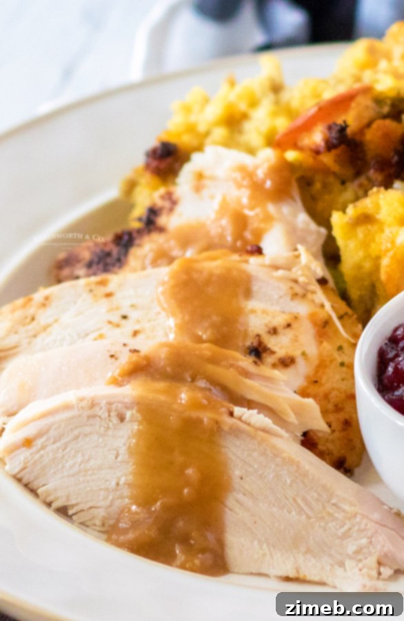 Perfect Air Fryer Turkey Breast 15 best way to cook a turkey
