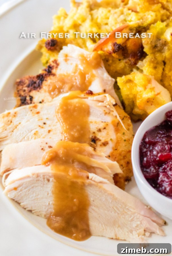 Perfect Air Fryer Turkey Breast 16 Air Fryer Turkey Breast