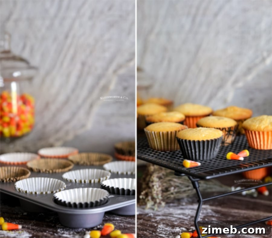 Spooky Ghost Cupcakes 8 Instructions on how to make vanilla cupcakes for Halloween treats