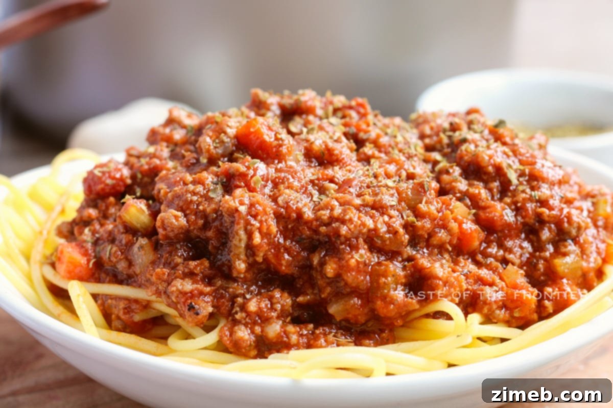 Effortless Weeknight Bolognese 9 One-Pot Marinara Meat Sauce, a versatile and flavorful sauce.
