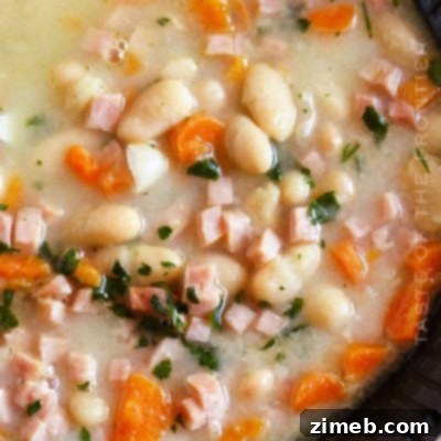 Boston-Style Clam Chowder 11 Hearty Senate Bean Soup with ham and vegetables in a bowl.