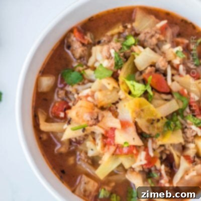 Boston-Style Clam Chowder 10 Colorful vegetables and broth in a bowl of Cabbage Roll Soup.