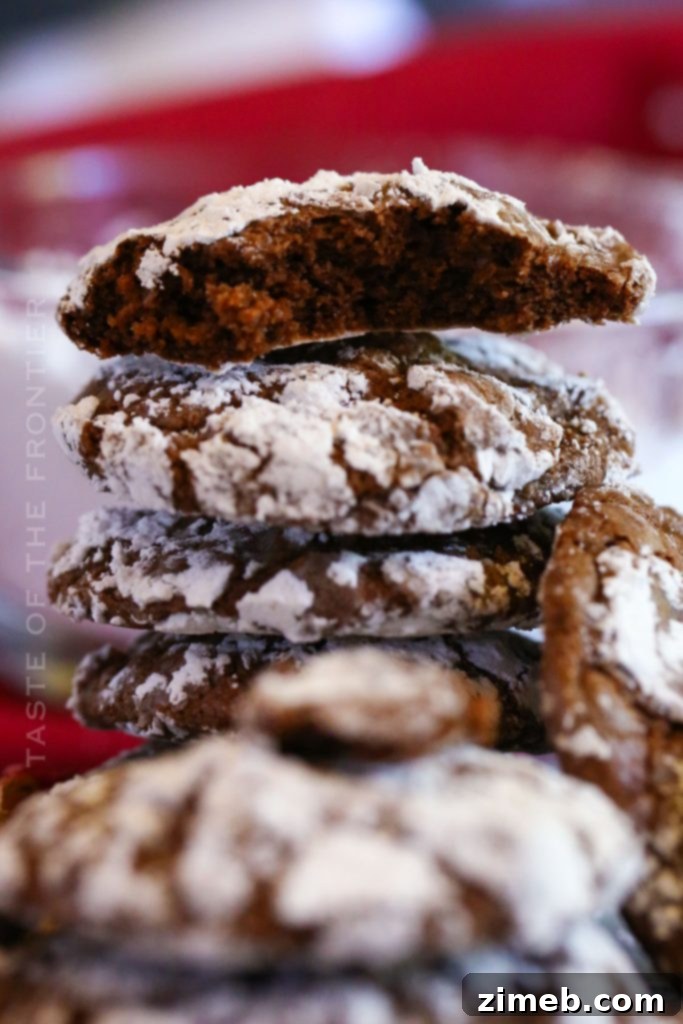 30 Festive Christmas Cookie Ideas 12 Chocolate Cool Whip Cookies recipe