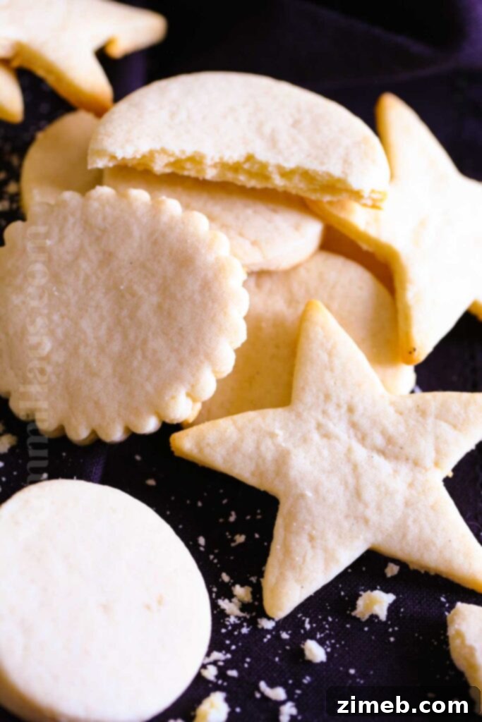 30 Festive Christmas Cookie Ideas 3 Butter Cookies Recipe