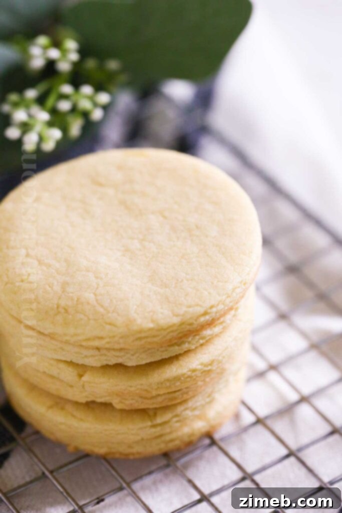 30 Festive Christmas Cookie Ideas 9 one dozen cookie recipe
