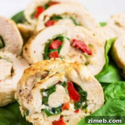 Chicken Roulade Delight 18 Chicken Roulade