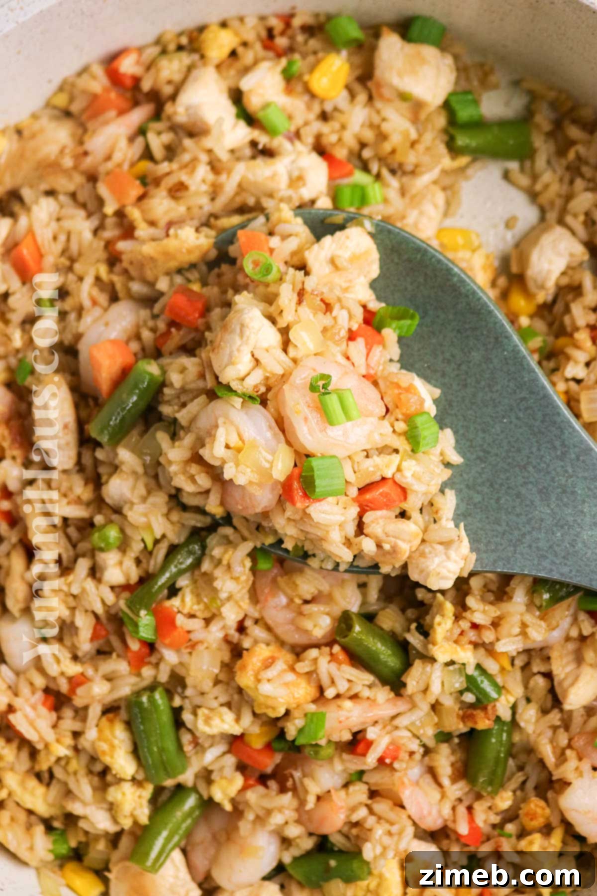 Shrimp and Chicken Stir-Fry Rice Bowl 9 Chinese food dinner