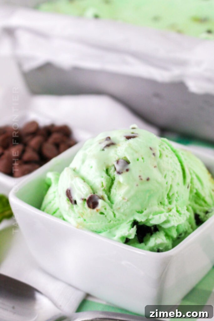 Lucky Bites: 15 Irresistible Green Treats for St. Patrick's Day 17 Grasshopper Ice Cream recipe