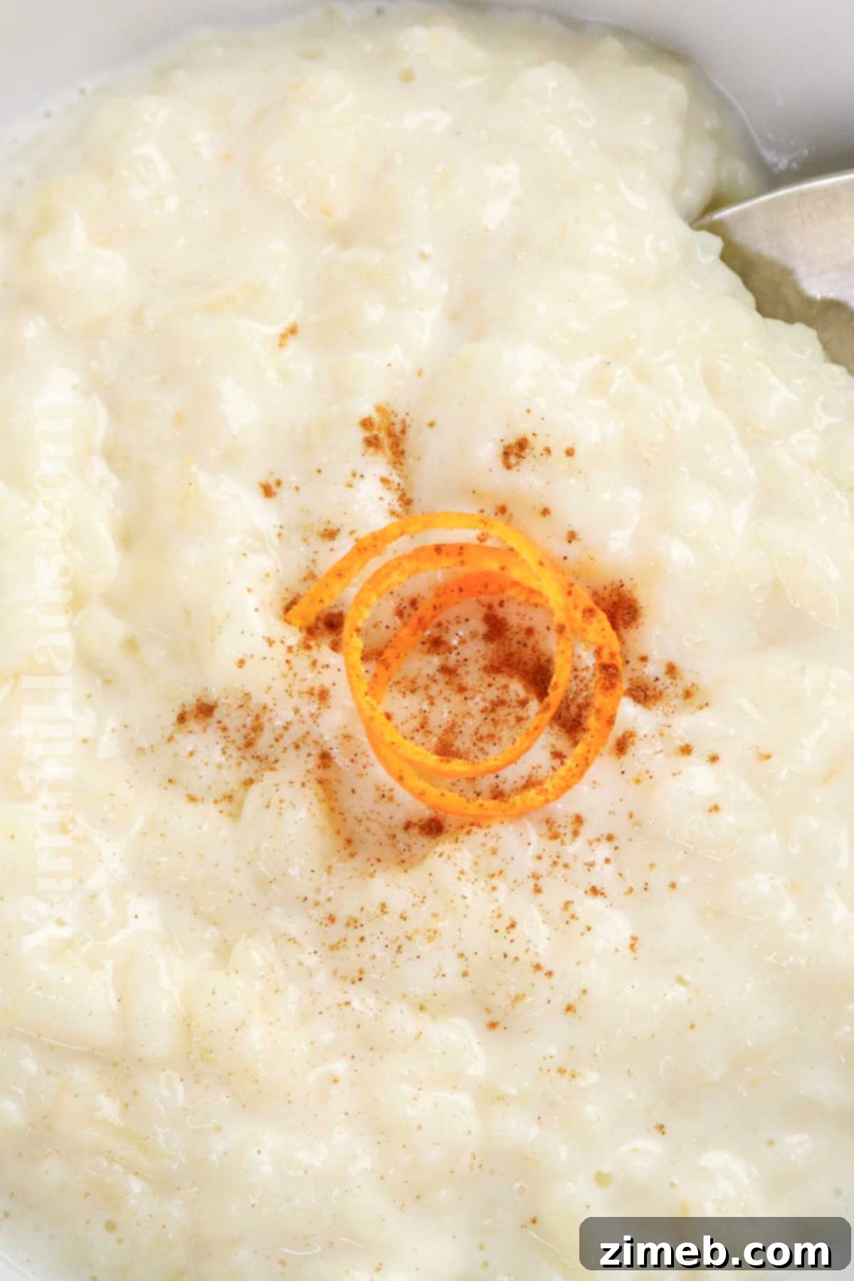Rice Pudding Bliss 15 Arroz con Leche Receta